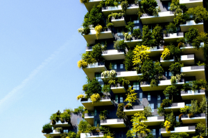 Immeuble végétalisé écologique