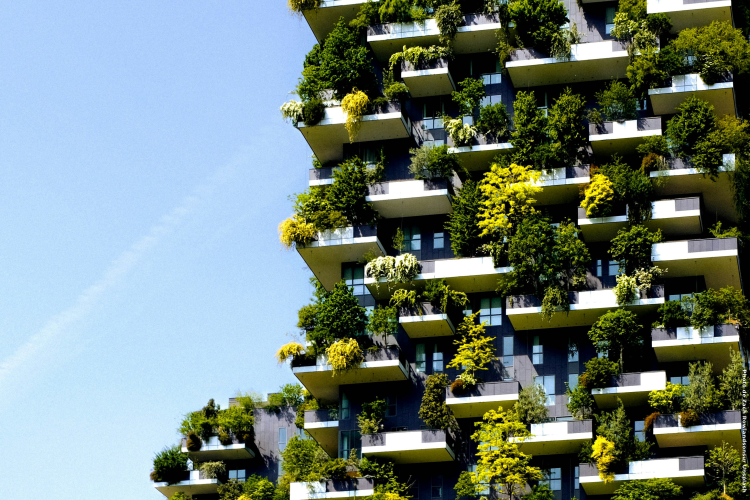 Comment choisir un adoucisseur d’eau pour son appartement ?