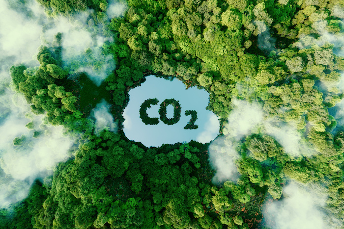 CO2 alimentaire 